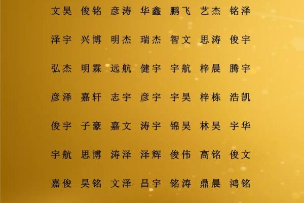 2019年4月24号丑时出生的男孩如何起名姓名