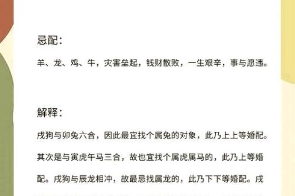 早上六点出生的属狗男孩如何取名，用什么字好姓名