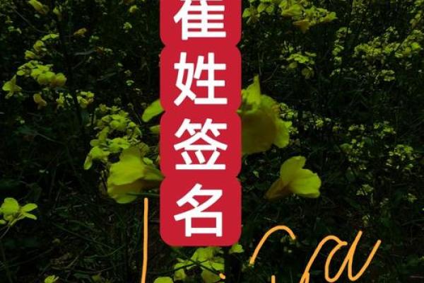 姓崔的名人-姓名学-华易算命网姓名