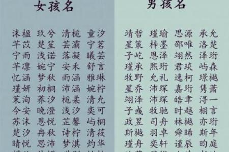 双胞胎男孩的名字和方法都有哪些-姓名学-华易网姓名