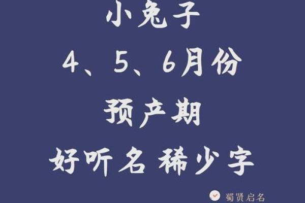 7月份出生的属兔男孩应该如何取名字姓名
