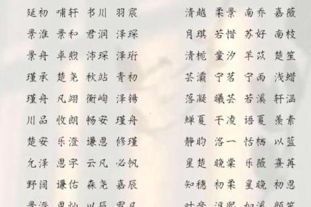 2019年6月23号寅时出生的男孩要怎么起名字姓名