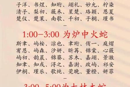 中午12点出生的属蛇男孩如何取名，宜用什么字姓名