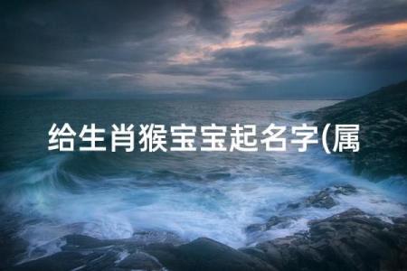 12月份出生的属猴男孩如何取名是好-姓名