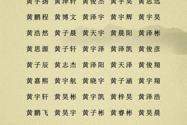 2019年3月21号子时出生的男孩应该起什么样的名字姓名