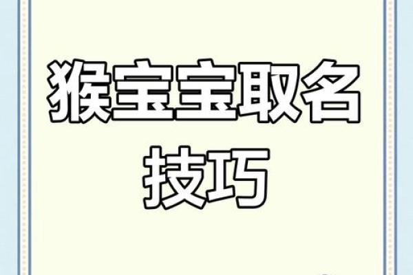 早上十一点出生的属猴男孩怎样取名，宜用什么字姓名