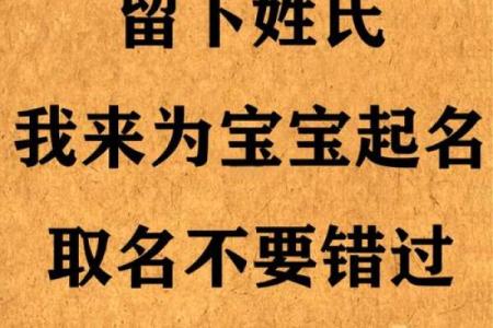 下午出生的属鼠男孩如何起名才合适姓名