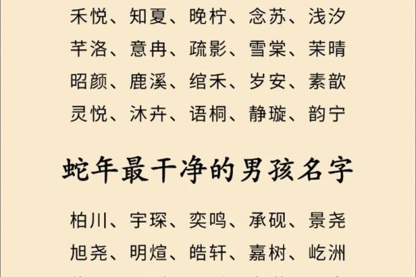 下午2点出生的属蛇男孩如何起名，宜用什么字姓名