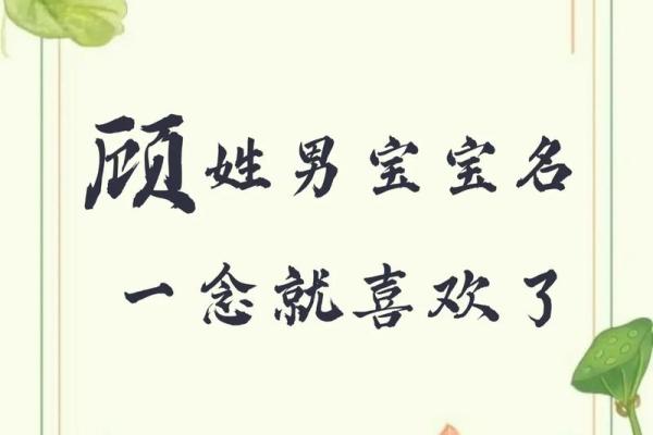 顾姓男孩名字大全-顾姓男孩起名字大全-顾姓名字大全姓名