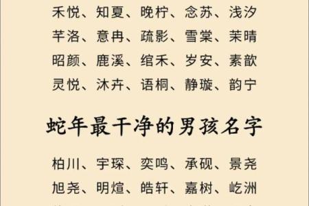 下午2点出生的属蛇男孩如何起名，宜用什么字姓名