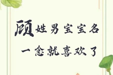 顾姓男孩名字大全-顾姓男孩起名字大全-顾姓名字大全姓名