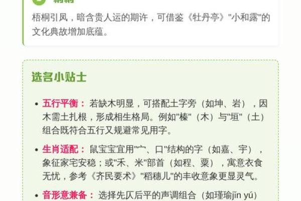 要给上午11点出生的属鼠男孩起名用什么字姓名