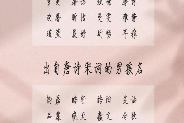 2019年4月11号子时出生的男孩如何起名姓名