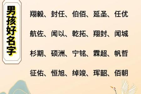2019年6月23号丑时出生的男孩如何起名姓名