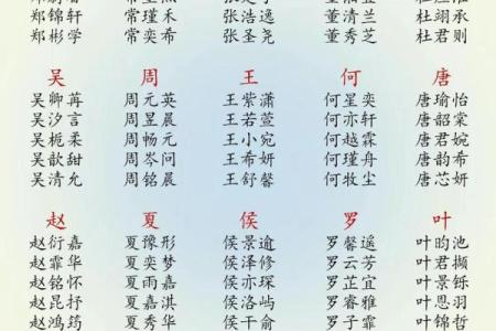 2019年3月24号辰时出生的男孩起名时要注意什么姓名
