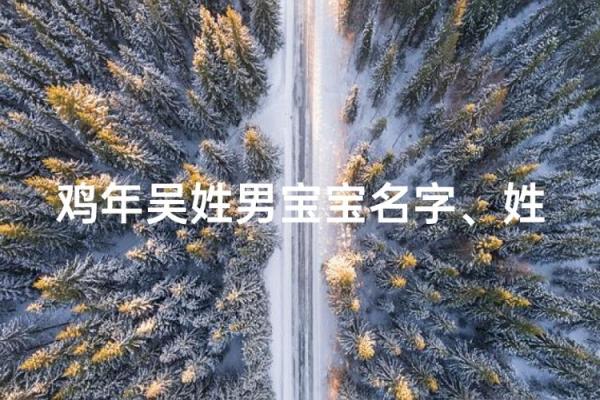 给早上9点出生的属鸡男孩取名字有哪些技巧姓名