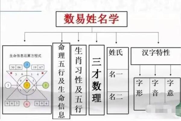 姓名与职业的紧密关系-姓名学-姓名分析姓名