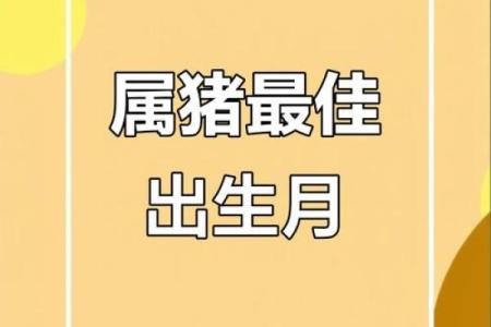 属猪卯时出生的男孩取什么名字，应该用什么字姓名