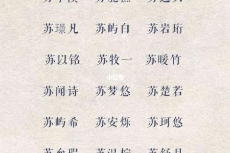2019年5月8号卯时出生的男孩应该起什么样的名字姓名