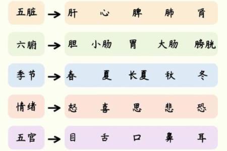 什么是天运五行-姓名学姓名