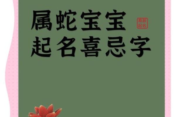 晚上11点出生的属蛇男孩如何起名，宜用哪些字姓名