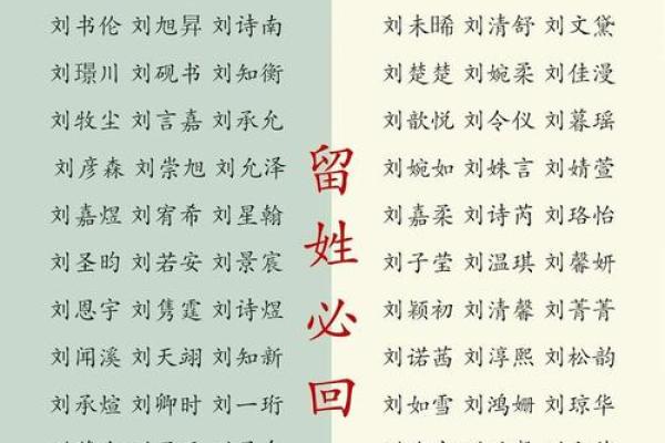 2019年6月23号子时出生的男孩如何起名姓名