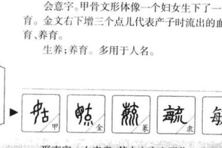 姓扶的名人-姓名学-华易算命网姓名