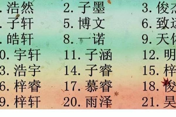 支姓男孩名字大全-支姓男孩起名字大全-支姓名字大全姓名