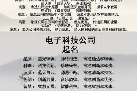科技公司名称大全-名字大全姓名