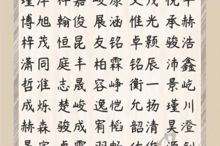 2019年3月29号酉时出生的男孩起名时要注意什么姓名