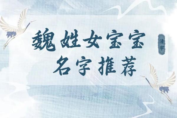 魏姓男孩名字大全-魏姓男孩起名字大全-魏姓名字大全姓名