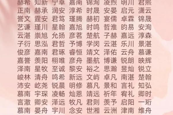 2019年3月28号未时出生的男孩如何起名姓名