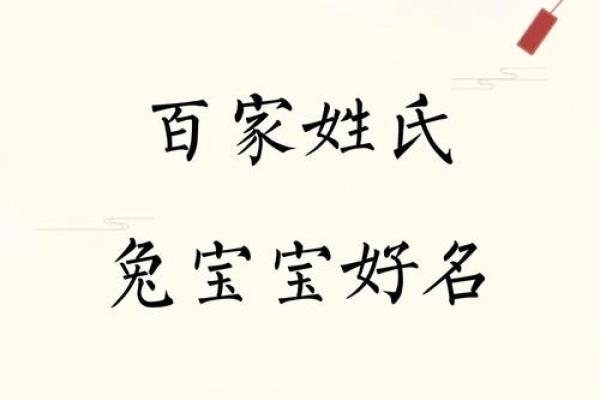 中午出生属兔的男孩应该怎么样取名字呢？姓名