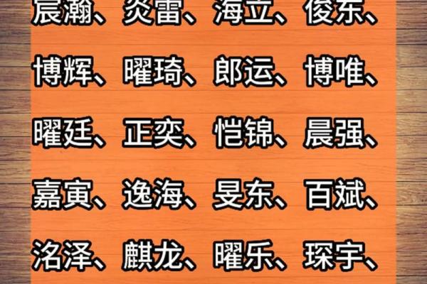 中午出生属兔的男孩应该怎么样取名字呢？姓名