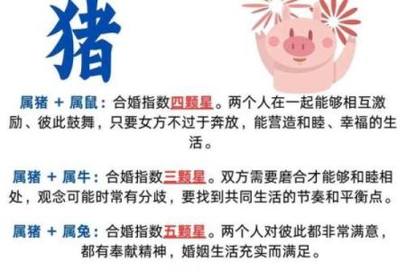 5月份出生的属猪男孩该怎么起名姓名