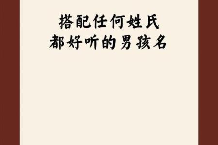 2019年3月28号未时出生的男孩如何起名姓名