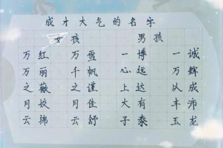 早上9点出生的属鼠男孩要如何起名姓名