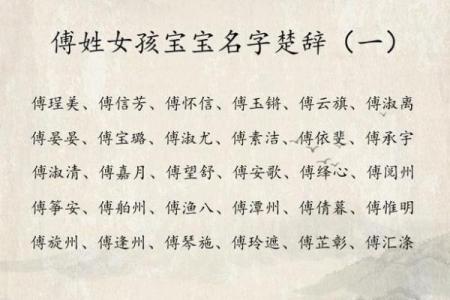傅姓女孩名字大全-傅姓女孩起名字大全-傅姓名字大全姓名
