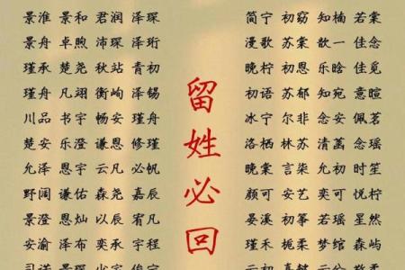 2019年3月20号未时出生的男孩起名方法姓名