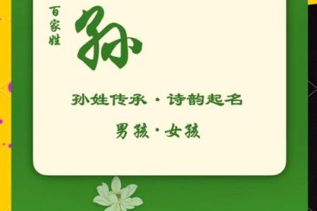 孙姓男孩名字大全-孙姓男孩起名字大全-孙姓名字大全姓名