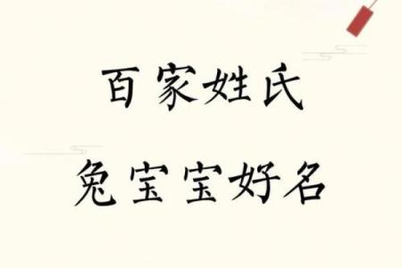 中午出生属兔的男孩应该怎么样取名字呢？姓名