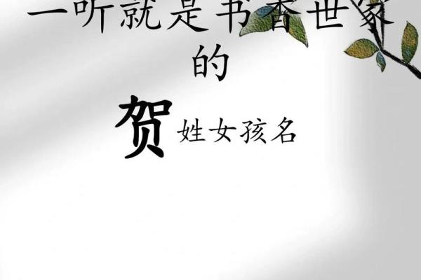 贺姓女孩名字大全-贺姓女孩起名字大全-贺姓名字大全姓名