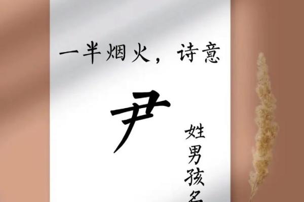 尹姓男孩名字大全-尹姓男孩起名字大全-尹姓名字大全姓名