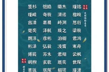 凌晨3点出生的属虎男孩起什么名，用什么字姓名