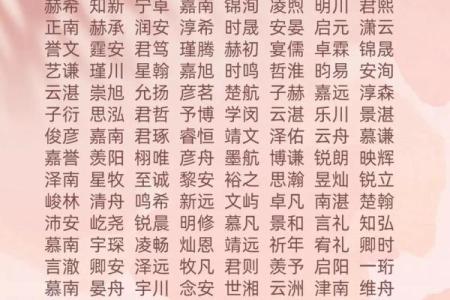 2019年6月27号丑时出生的男孩起名方法姓名