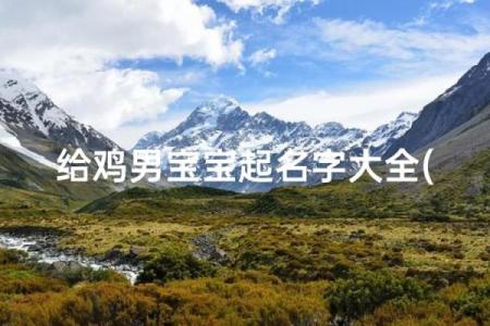 晚上10点出生的属鸡男孩用什么字取名字合适姓名