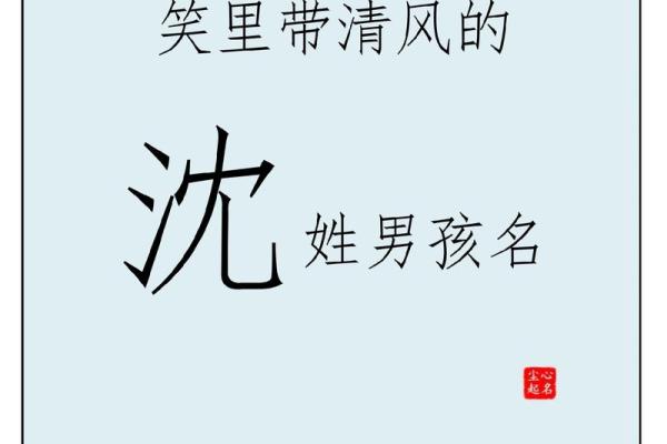 沈姓男孩名字大全-沈姓男孩起名字大全-沈姓名字大全姓名