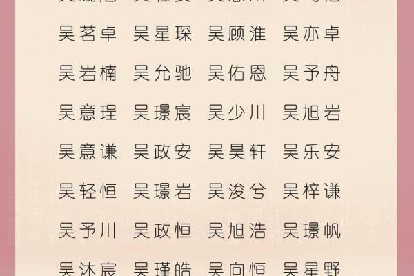 吴姓男孩名字大全-吴姓男孩起名字大全-吴姓名字大全姓名