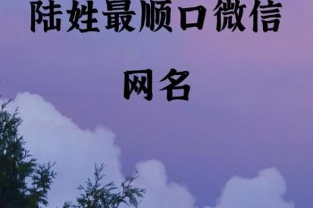 陆姓男孩名字大全-陆姓男孩起名字大全-陆姓名字大全姓名