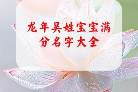 吴姓男孩名字大全-吴姓男孩起名字大全-吴姓名字大全姓名